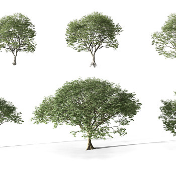 Z20-0731园林植物景观树3d模型下载