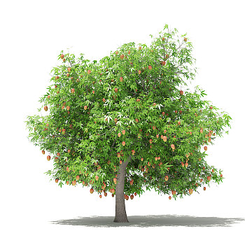 10芒果果树3dmax模型下载