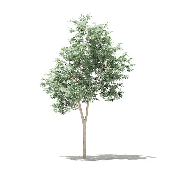 11-水果树3dmax模型下载