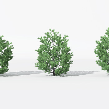 H23-0730景观植物树松柏树针叶植物树3dmax模型下载