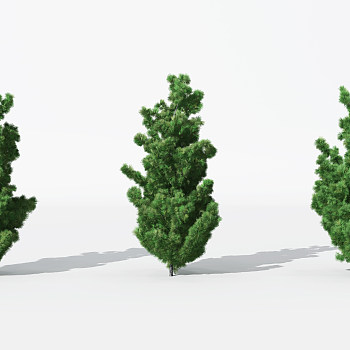 H24-0730景观植物树松柏树针叶植物树3dmax模型下载