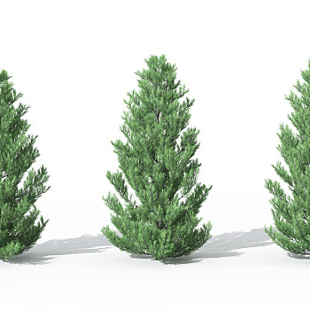 H28-0730景观植物树松柏树针叶植物树3dmax模型下载