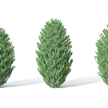 H30-0730景观植物树松柏树针叶植物树3dmax模型下载