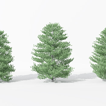 H31-0730景观植物树松柏树针叶植物树3dmax模型下载