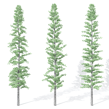 H32-0730景观植物树松柏树针叶植物树3dmax模型下载