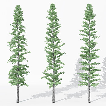 H32-0730景观植物树松柏树针叶植物树3dmax模型下载
