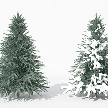 H34-0730景观植物树松柏树针叶植物雪景树3dmax模型下载