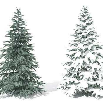H36-0730景观植物树松柏树针叶植物雪景树3dmax模型下载
