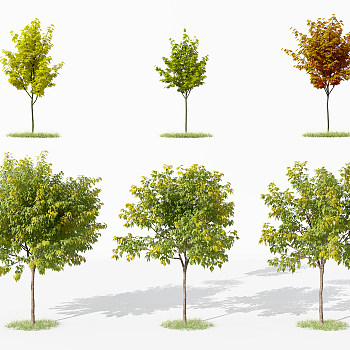 现代树绿植3d模型下载