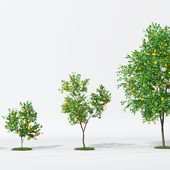 现代树橘子树3d模型下载