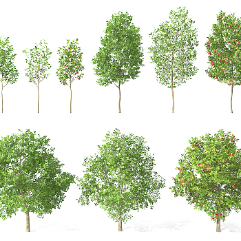 景观植物树3d模型下载