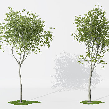 景观植物树3d模型下载