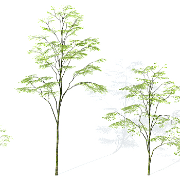 景观植物树3d模型下载