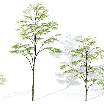 景观植物树3d模型下载