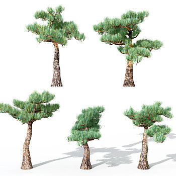 景观植物松树3d模型下载