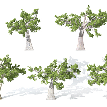 园林景观植物松树3d模型下载