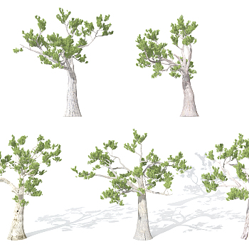 园林景观植物松树3d模型下载