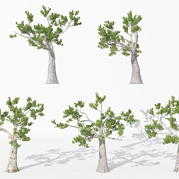 园林景观植物松树3d模型下载