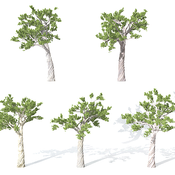 园林景观植物松树3d模型下载