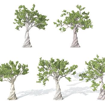 园林景观植物松树3d模型下载