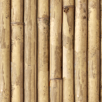 竹子竹竿贴图竹子墙面