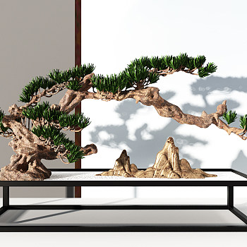 松树盆景摆件3d模型下载