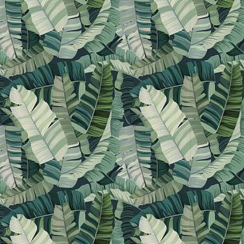 北欧现代大叶子植物壁纸装饰画材质贴图下载 (3)