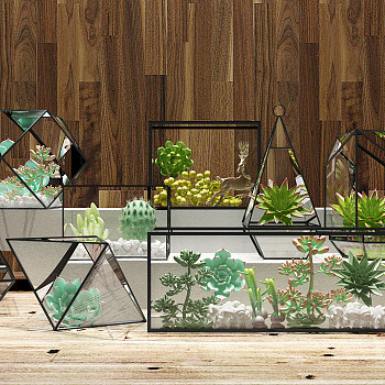 多肉植物玻璃花房玻璃罩装饰摆件3d模型下载