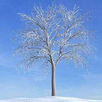051雪景树3D模型下载