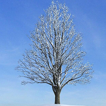 046雪景树3D模型下载