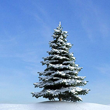 25雪景树3D模型下载