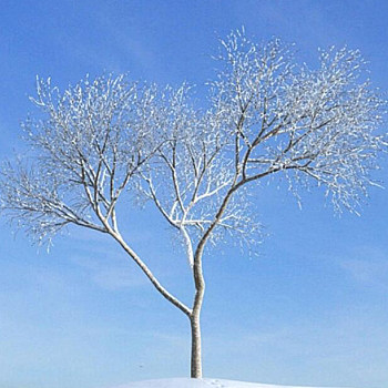 22雪景树3D模型下载