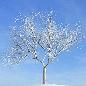 20雪景树3D模型下载