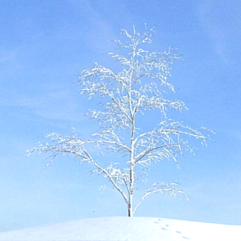 14雪景树3D模型下载