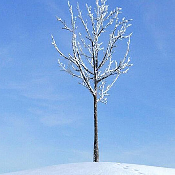 11雪景树3D模型下载