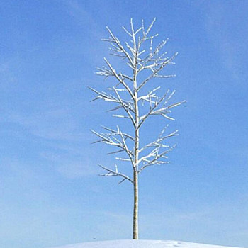 09雪景树3D模型下载