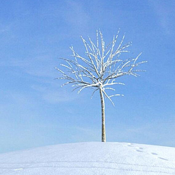 08雪景树3D模型下载