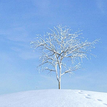 07雪景树3D模型下载