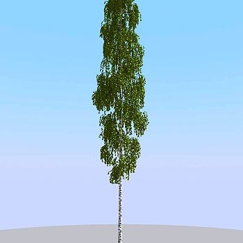 018夏季景观植物树木3d模型下载 (1)