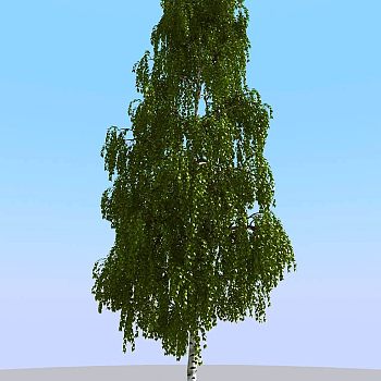 014夏季景观植物树木3d模型下载