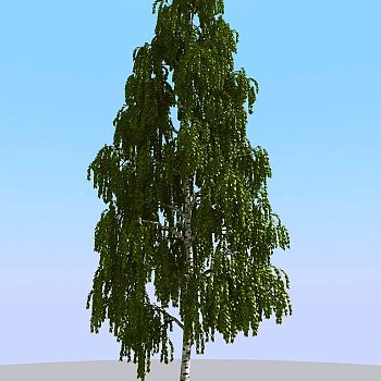 013夏季景观植物树木3d模型下载
