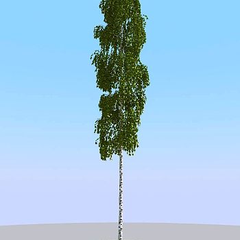 015夏季景观植物树木3d模型下载
