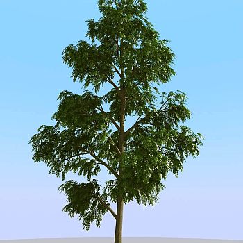 03夏季景观植物树木3d模型下载