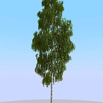 0180夏季景观植物树木3d模型下载 (2)