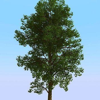 047景观树3d模型下载 (1)
