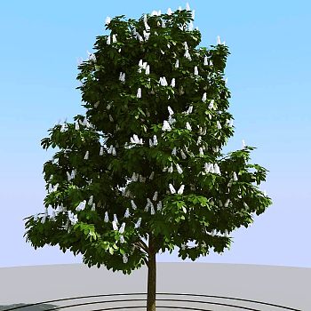 058景观树3d模型下载