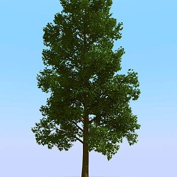 045景观树3d模型下载