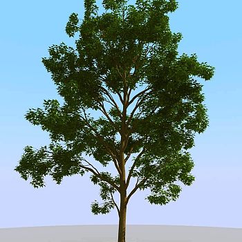 044景观树矮树3d模型下载