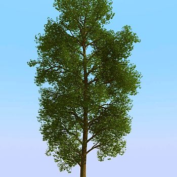 038景观树矮树3d模型下载