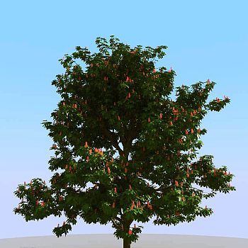 056景观树3d模型下载
